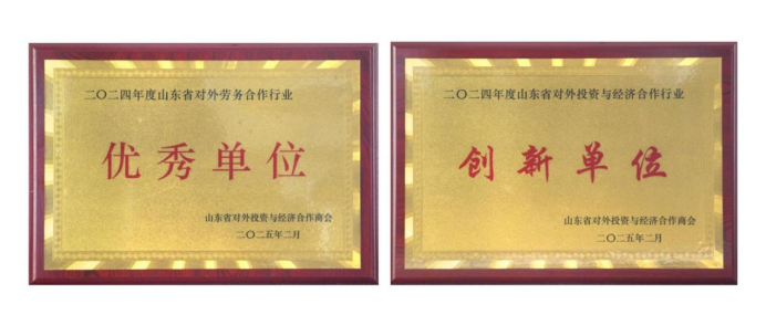 尊龙凯时人力：四奖见证卓越，国际化征程再启航