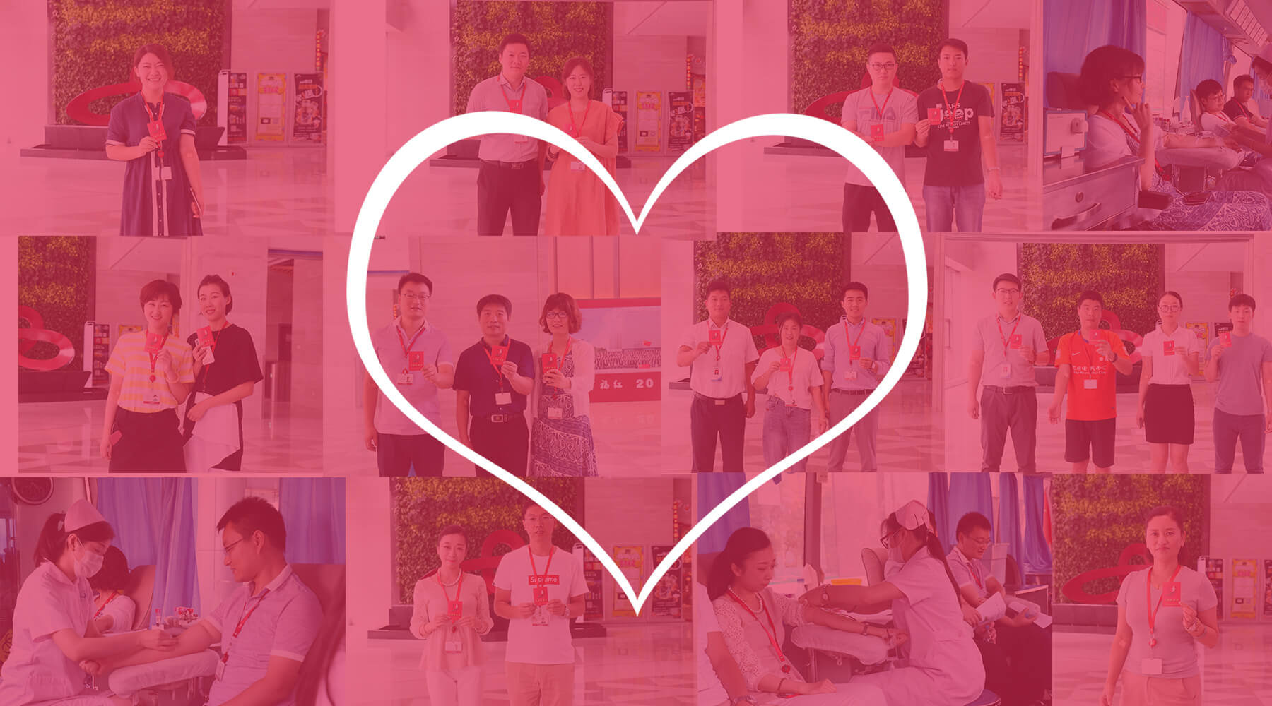 尊龙凯时人组团献血 奏响爱心集结号